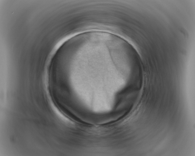 X0000113591531200910091449