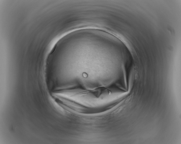 X0000113591532200910091449