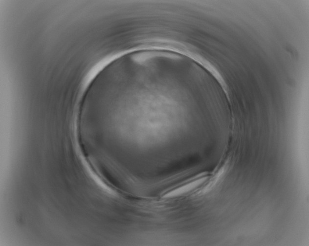 X0000113591533200910091449