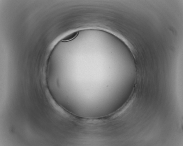 X0000113591534200910091449