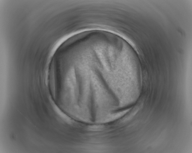 X0000113591535200910091449