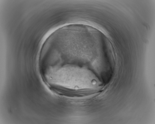 X0000113591536200910091449