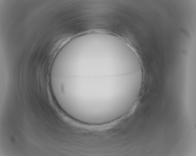 X0000113590001200910161853