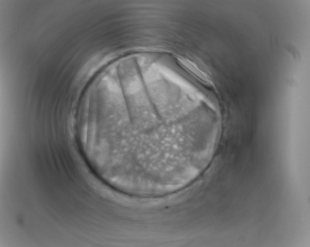 X0000113590002200910161853