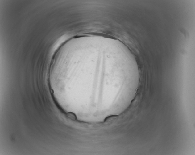 X0000113590003200910161853