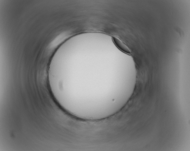 X0000113590005200910161853