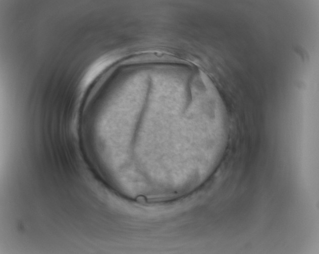 X0000113590006200910161853