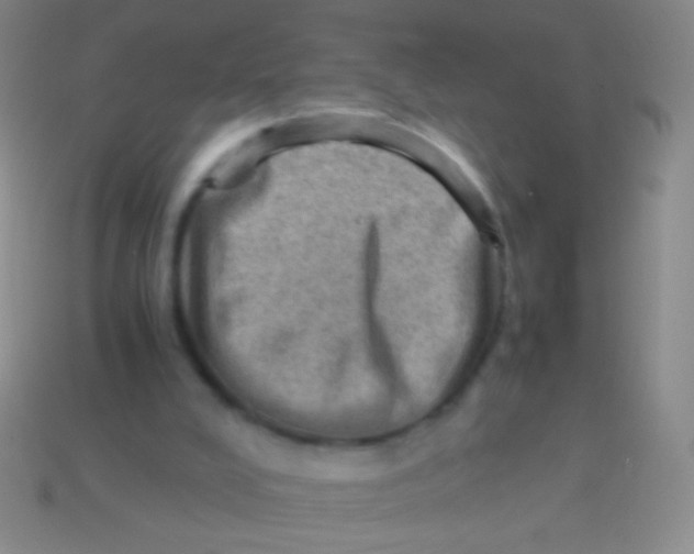 X0000113590008200910161853