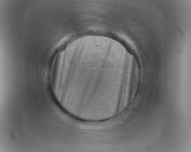 X0000113590009200910161853