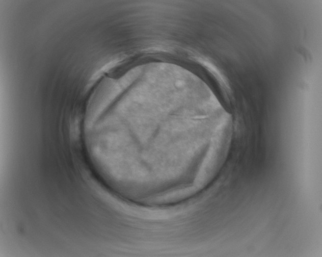 X0000113590010200910161853
