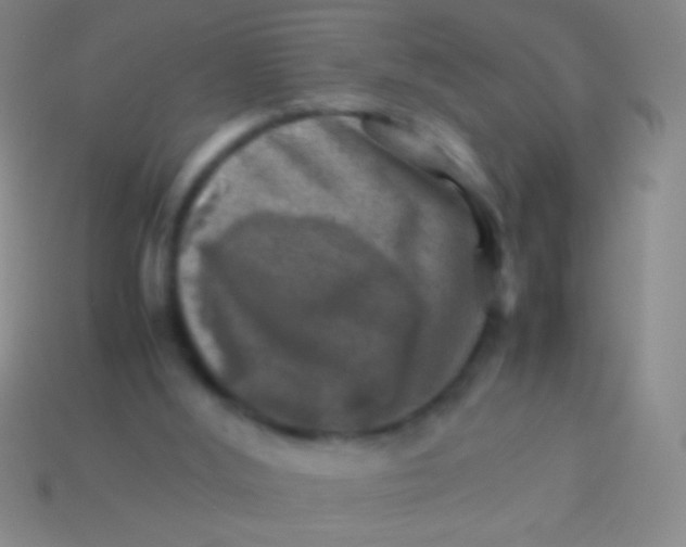 X0000113590012200910161853