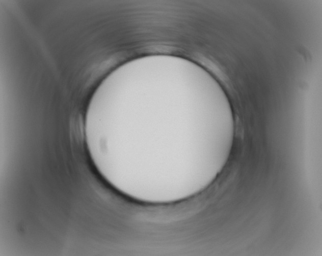 X0000113590013200910161853