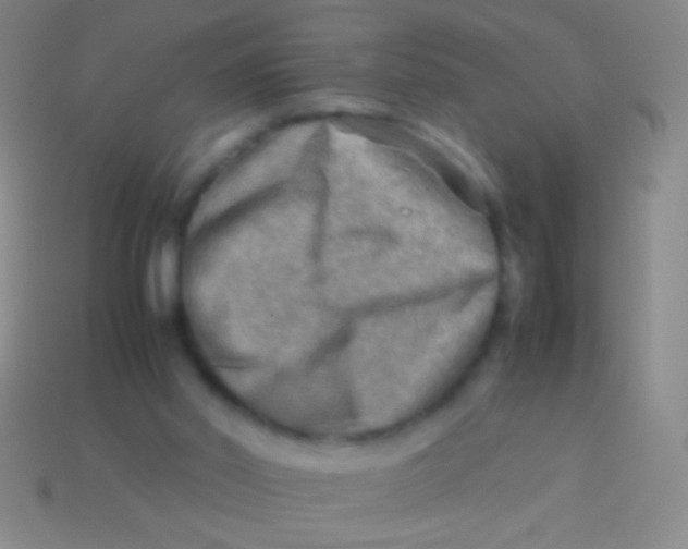 X0000113590014200910161853