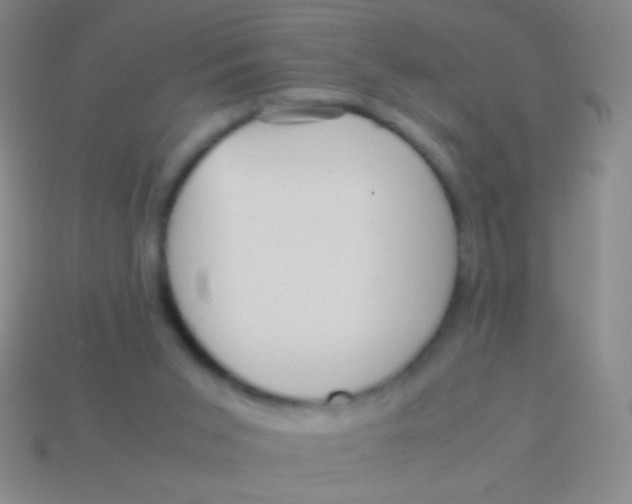 X0000113590015200910161853