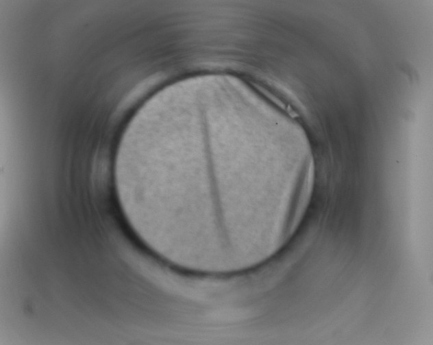 X0000113590016200910161853