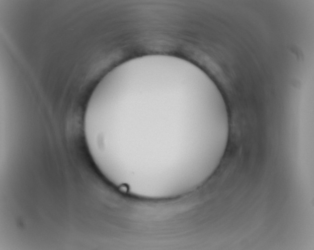 X0000113590017200910161853