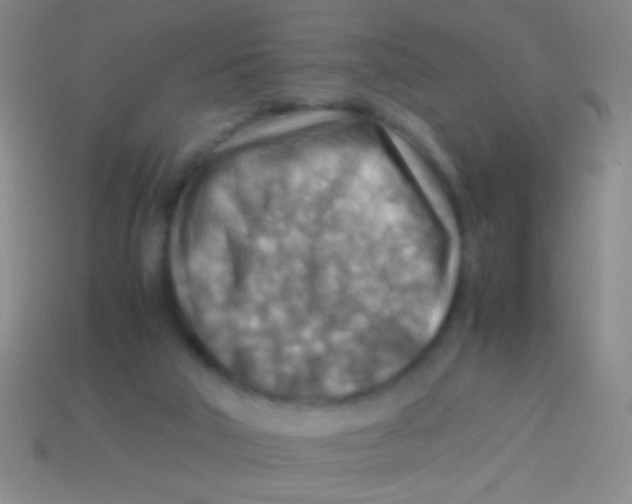 X0000113590018200910161853