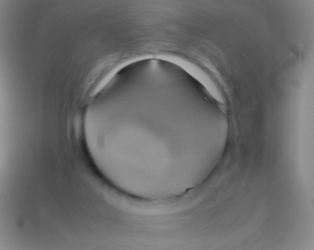 X0000113590019200910161853