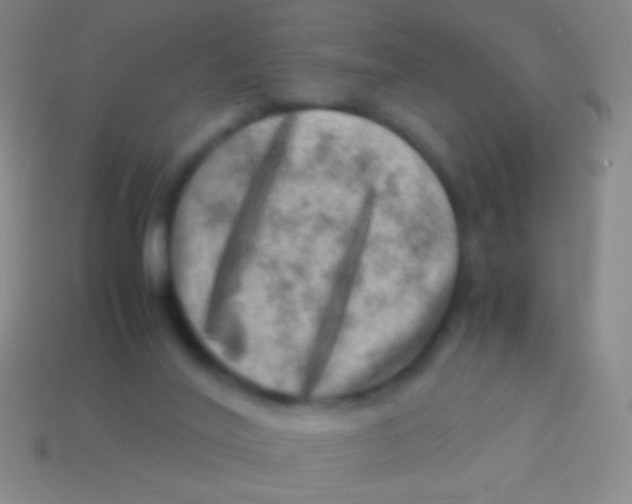 X0000113590020200910161853