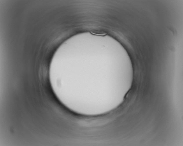 X0000113590021200910161853