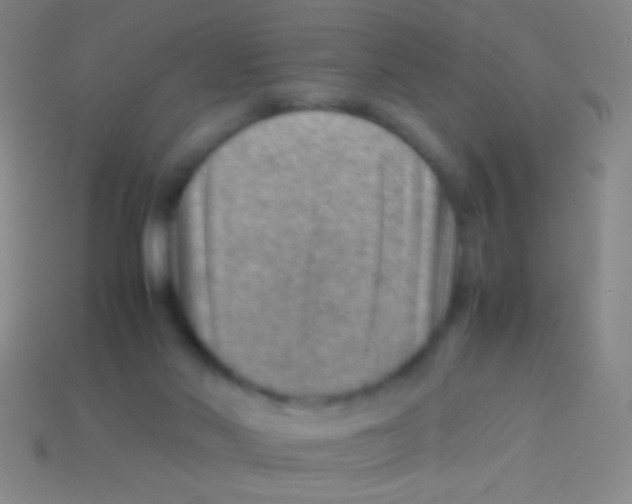 X0000113590022200910161853