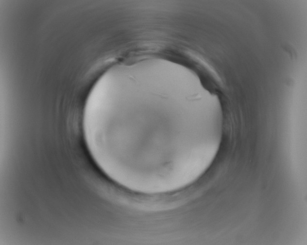 X0000113590023200910161853