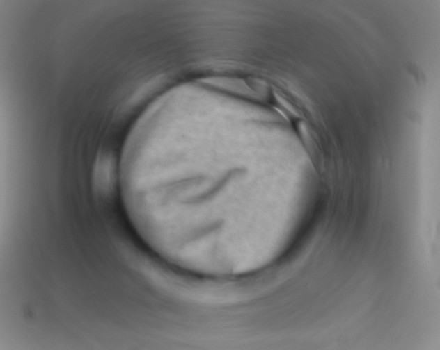 X0000113590024200910161853