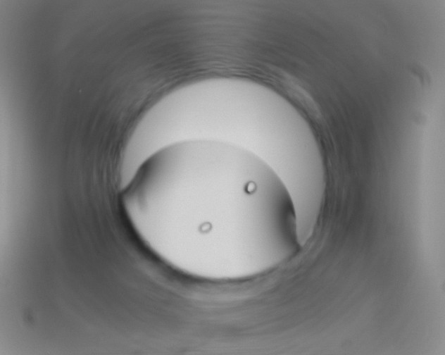 X0000113590025200910161853