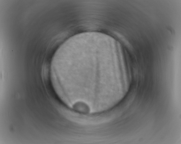 X0000113590026200910161853