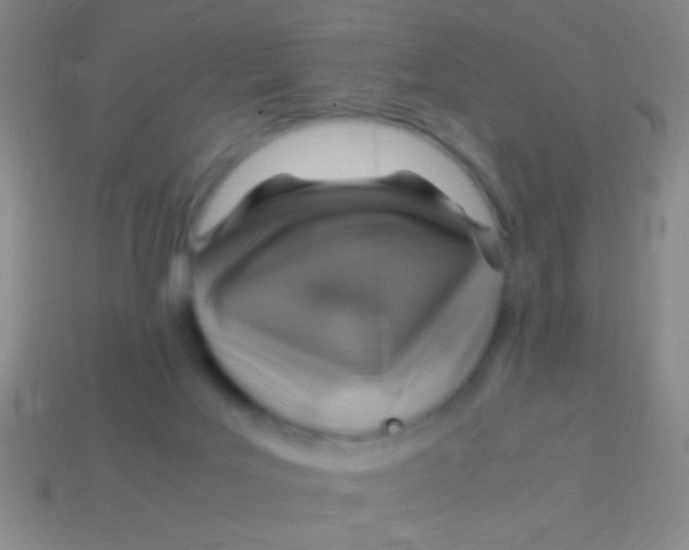 X0000113590027200910161853