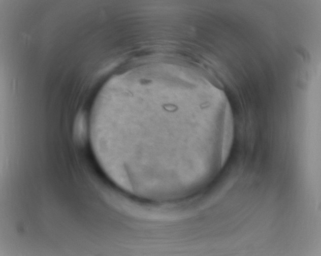 X0000113590028200910161853