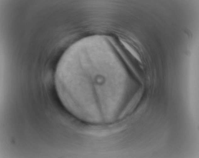 X0000113590029200910161853
