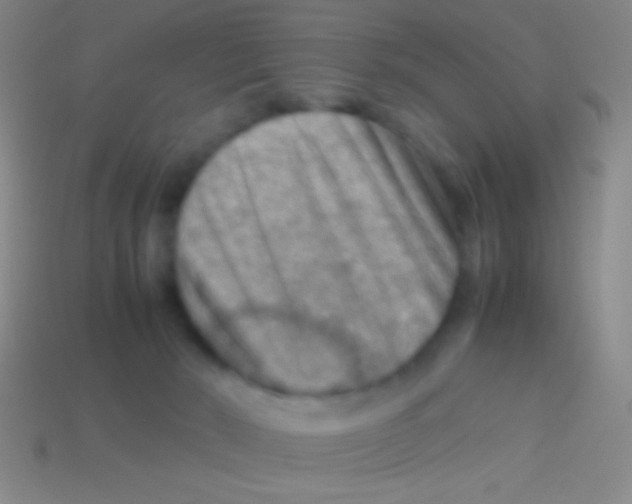 X0000113590030200910161853