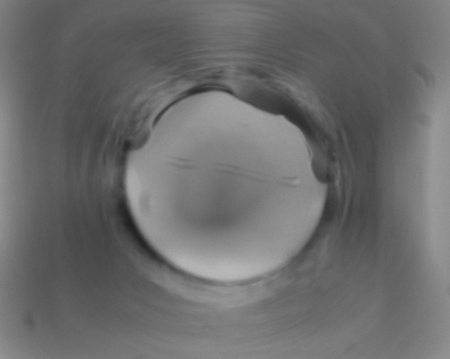 X0000113590031200910161853