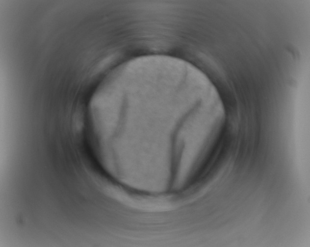 X0000113590032200910161853