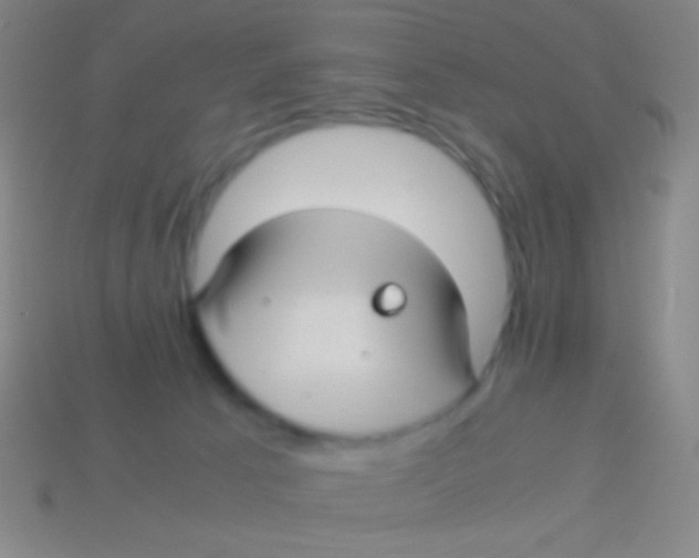 X0000113590033200910161853