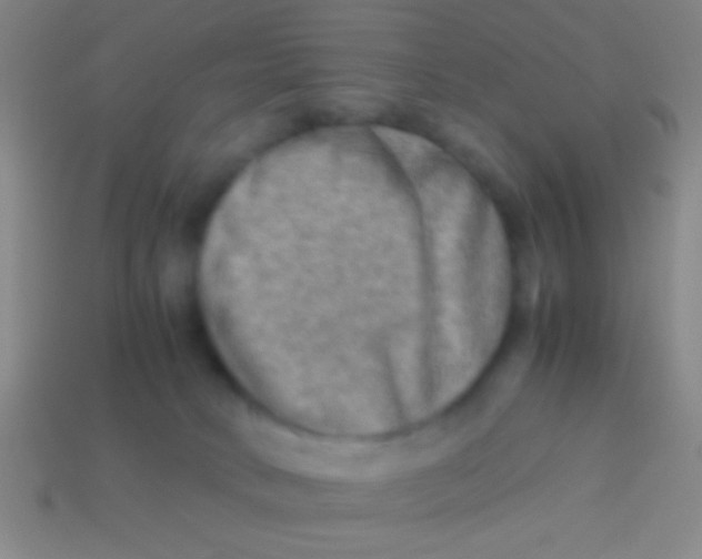 X0000113590034200910161853