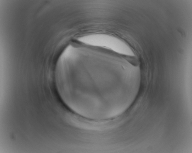 X0000113590035200910161853