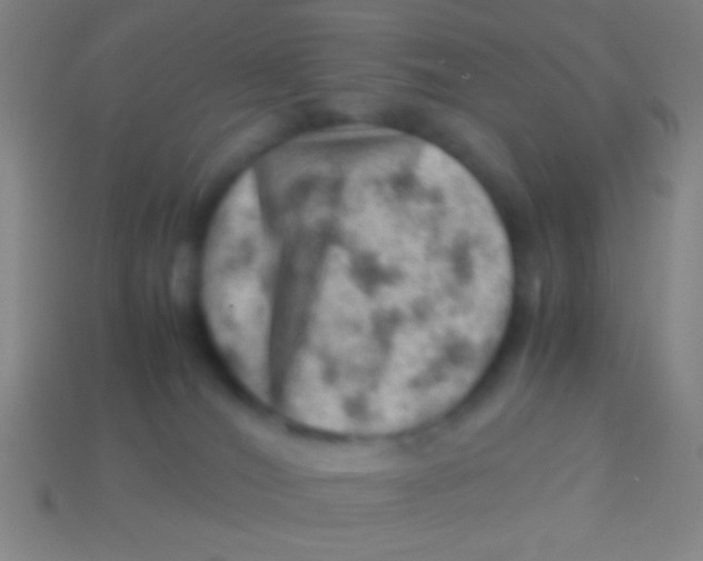 X0000113590036200910161853