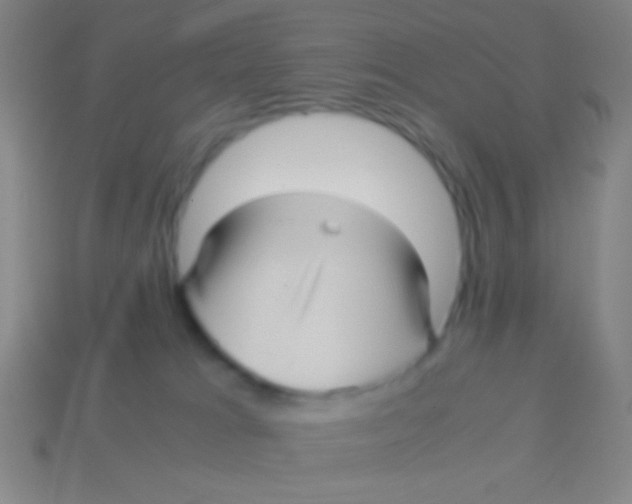 X0000113590037200910161853