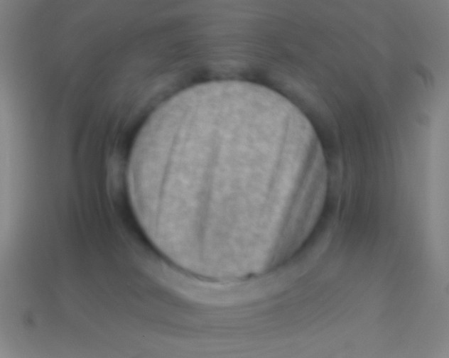 X0000113590038200910161853