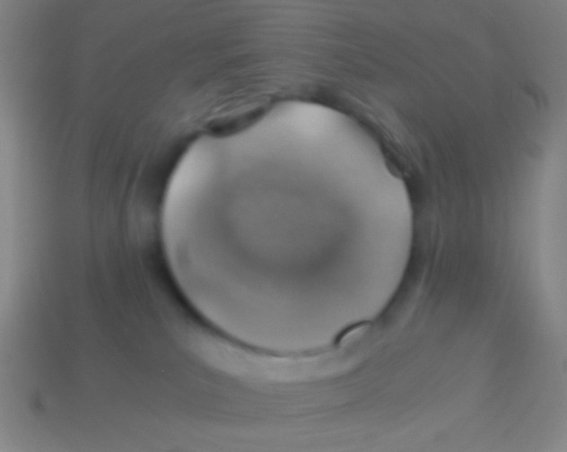 X0000113590039200910161852