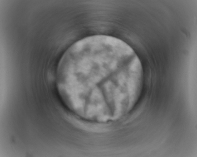 X0000113590040200910161852