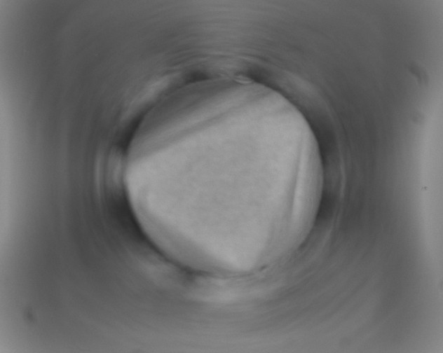 X0000113590041200910161852