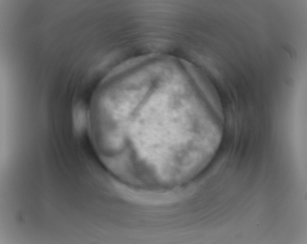 X0000113590042200910161852