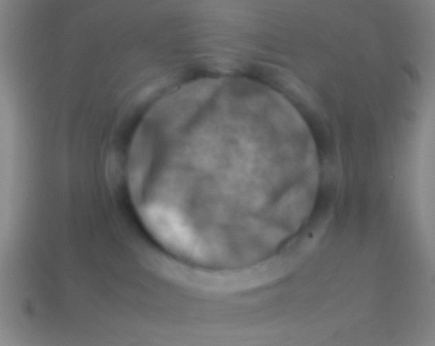 X0000113590043200910161852