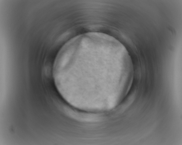 X0000113590044200910161852