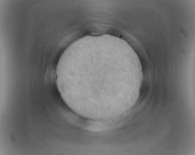 X0000113590045200910161852
