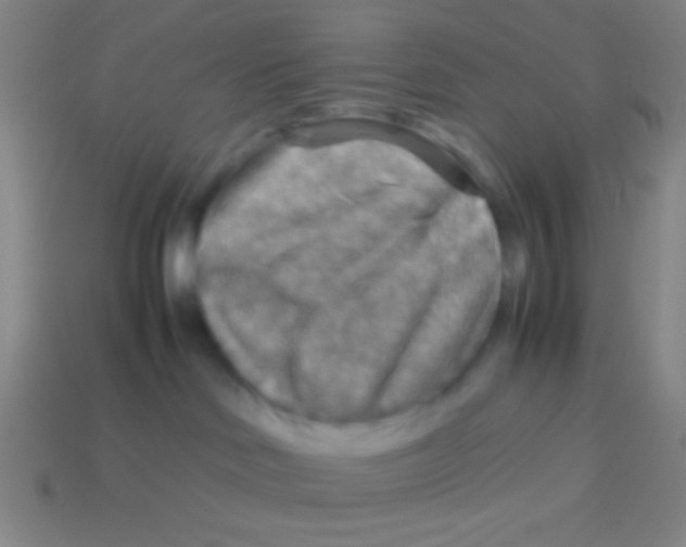X0000113590046200910161852