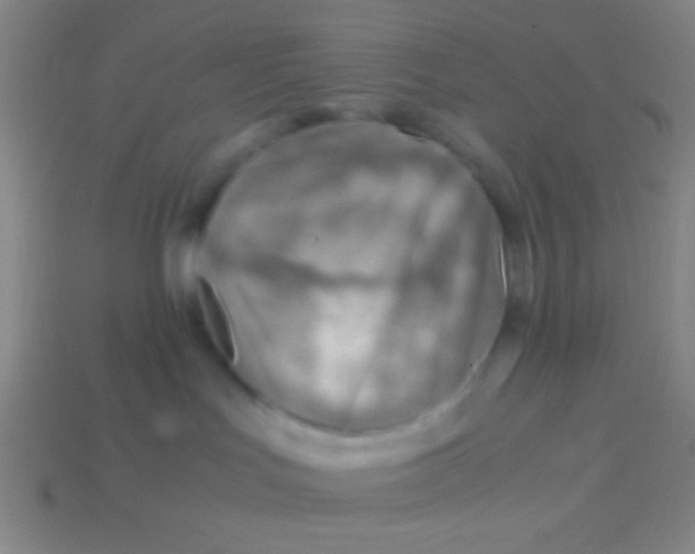 X0000113590047200910161852